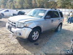 2009 Ford Escape Xlt Silver vin: 1FMCU93G09KA80380