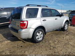 2009 Ford Escape Xlt Silver vin: 1FMCU93G09KA80380