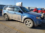 2009 Ford Escape Xlt Blue vin: 1FMCU93G09KB86117