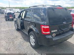 2009 Ford Escape Xlt Черный vin: 1FMCU93G09KB93973