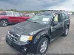 2009 Ford Escape Xlt Black vin: 1FMCU93G09KB93973