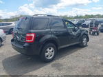 2009 Ford Escape Xlt Черный vin: 1FMCU93G09KB93973