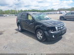 2009 Ford Escape Xlt Black vin: 1FMCU93G09KB93973