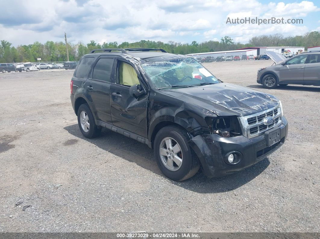 2009 Ford Escape Xlt Black vin: 1FMCU93G09KB93973