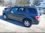 2009 Ford Escape Xlt Gray vin: 1FMCU93G09KC34070