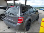 2009 Ford Escape Xlt Gray vin: 1FMCU93G09KC58594