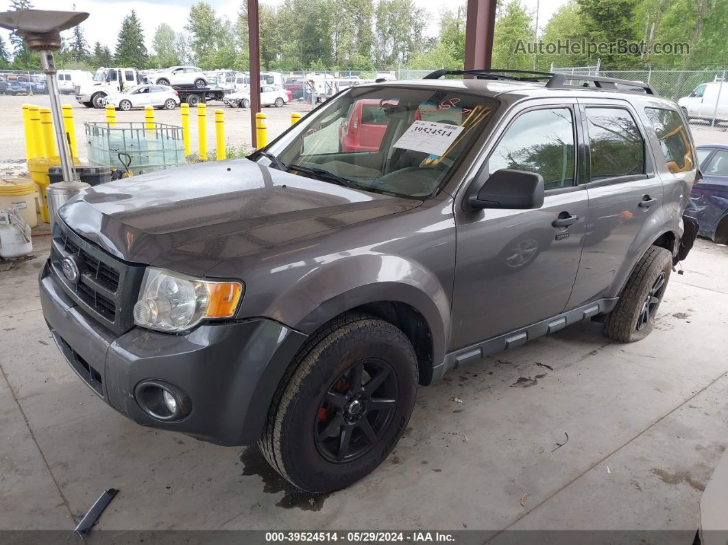 2009 Ford Escape Xlt Gray vin: 1FMCU93G09KC58594