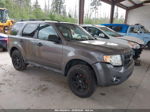 2009 Ford Escape Xlt Gray vin: 1FMCU93G09KC58594