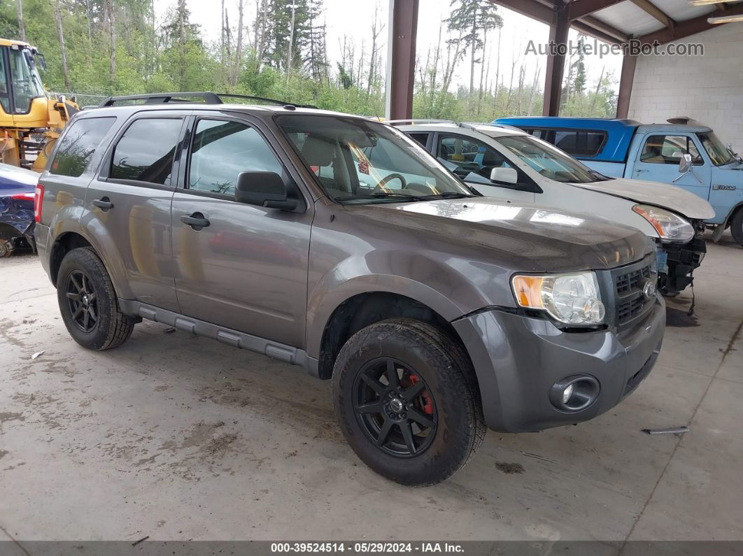 2009 Ford Escape Xlt Gray vin: 1FMCU93G09KC58594