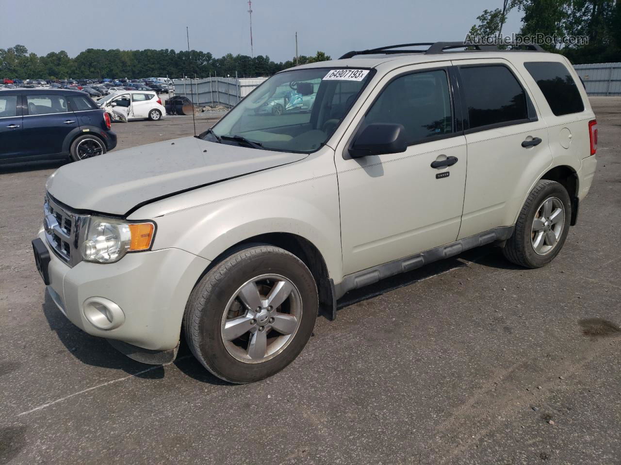 2009 Ford Escape Xlt Beige vin: 1FMCU93G09KC59406