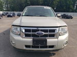 2009 Ford Escape Xlt Beige vin: 1FMCU93G09KC59406