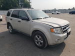 2009 Ford Escape Xlt Beige vin: 1FMCU93G09KC59406