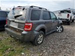 2009 Ford Escape Xlt Gray vin: 1FMCU93G09KD14484