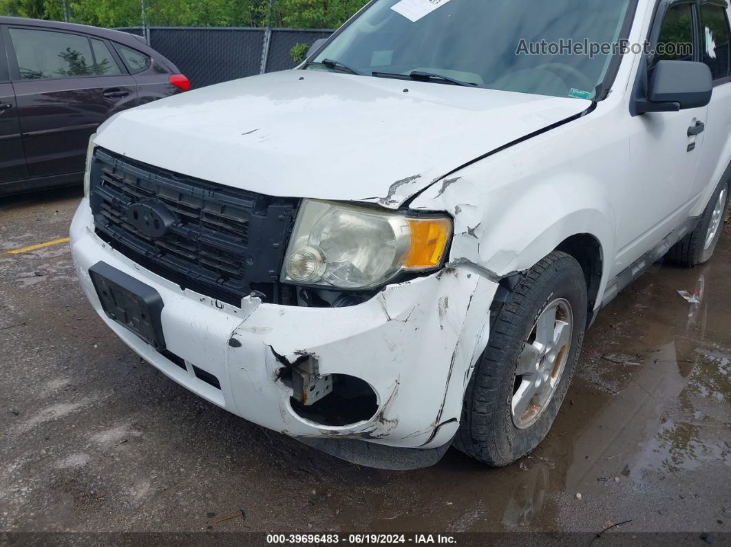 2009 Ford Escape Xlt White vin: 1FMCU93G19KA56766