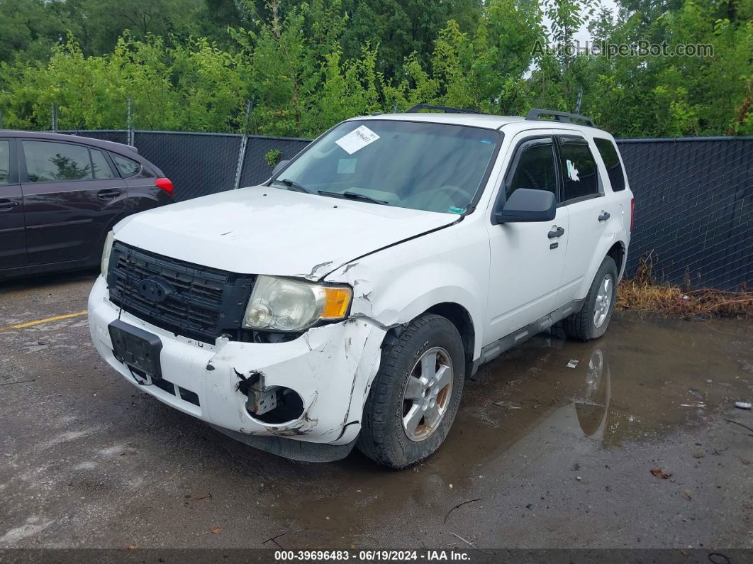 2009 Ford Escape Xlt Белый vin: 1FMCU93G19KA56766