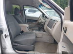 2009 Ford Escape Xlt Белый vin: 1FMCU93G19KA56766