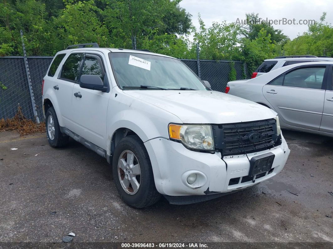 2009 Ford Escape Xlt White vin: 1FMCU93G19KA56766