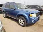 2009 Ford Escape Xlt Blue vin: 1FMCU93G19KB79175