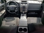 2009 Ford Escape Xlt Blue vin: 1FMCU93G19KB79175