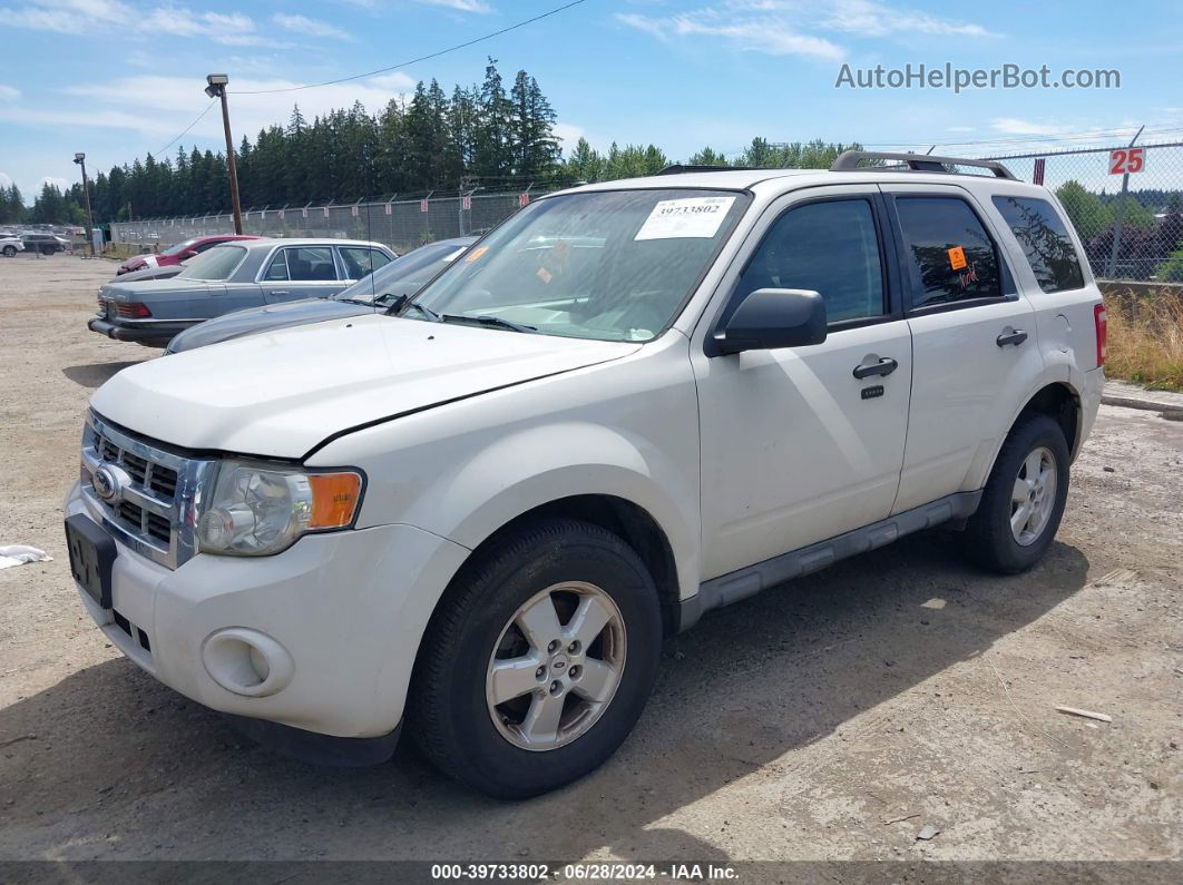 2009 Ford Escape Xlt White vin: 1FMCU93G19KC46115