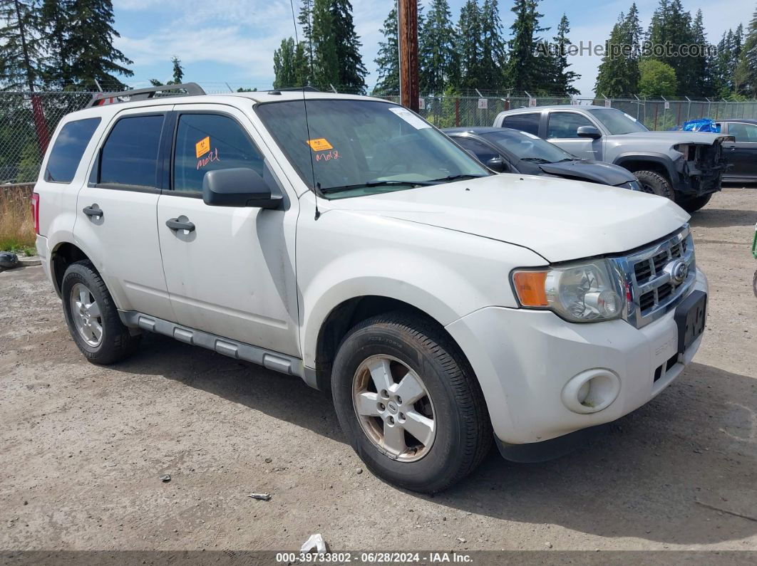 2009 Ford Escape Xlt White vin: 1FMCU93G19KC46115