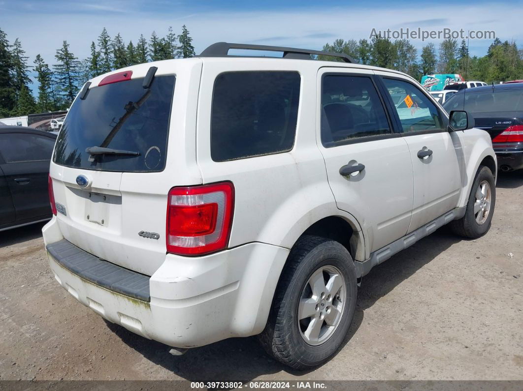 2009 Ford Escape Xlt White vin: 1FMCU93G19KC46115