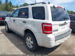 2009 Ford Escape Xlt White vin: 1FMCU93G19KC46115