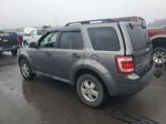 2009 Ford Escape Xlt Silver vin: 1FMCU93G19KD00710