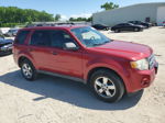 2009 Ford Escape Xlt Red vin: 1FMCU93G29KA61118