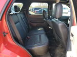 2009 Ford Escape Xlt Red vin: 1FMCU93G29KB01391