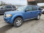 2009 Ford Escape Xlt Blue vin: 1FMCU93G29KB01780