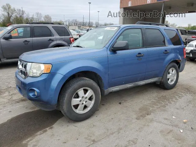 2009 Ford Escape Xlt Blue vin: 1FMCU93G29KB01780