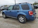 2009 Ford Escape Xlt Blue vin: 1FMCU93G29KB01780