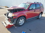 2009 Ford Escape Xlt Red vin: 1FMCU93G29KB61672