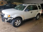 2009 Ford Escape Xlt Белый vin: 1FMCU93G29KC58273