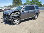 2009 Ford Escape Xlt Gray vin: 1FMCU93G39KA36292