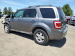 2009 Ford Escape Xlt Gray vin: 1FMCU93G39KA36292