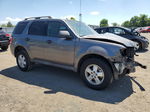 2009 Ford Escape Xlt Gray vin: 1FMCU93G39KA36292