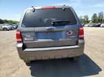 2009 Ford Escape Xlt Gray vin: 1FMCU93G39KA36292