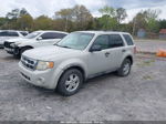 2009 Ford Escape Xlt Silver vin: 1FMCU93G39KA46126