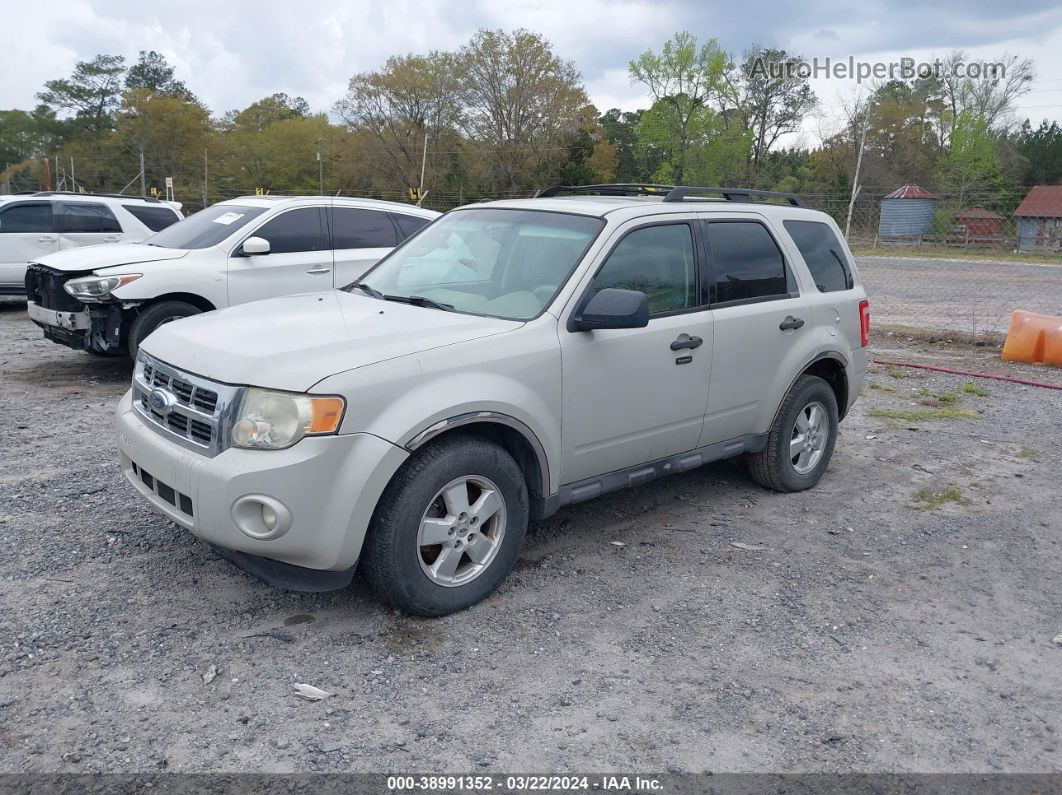 2009 Ford Escape Xlt Silver vin: 1FMCU93G39KA46126