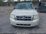 2009 Ford Escape Xlt Silver vin: 1FMCU93G39KA46126