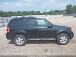 2009 Ford Escape Xlt Black vin: 1FMCU93G39KA63413