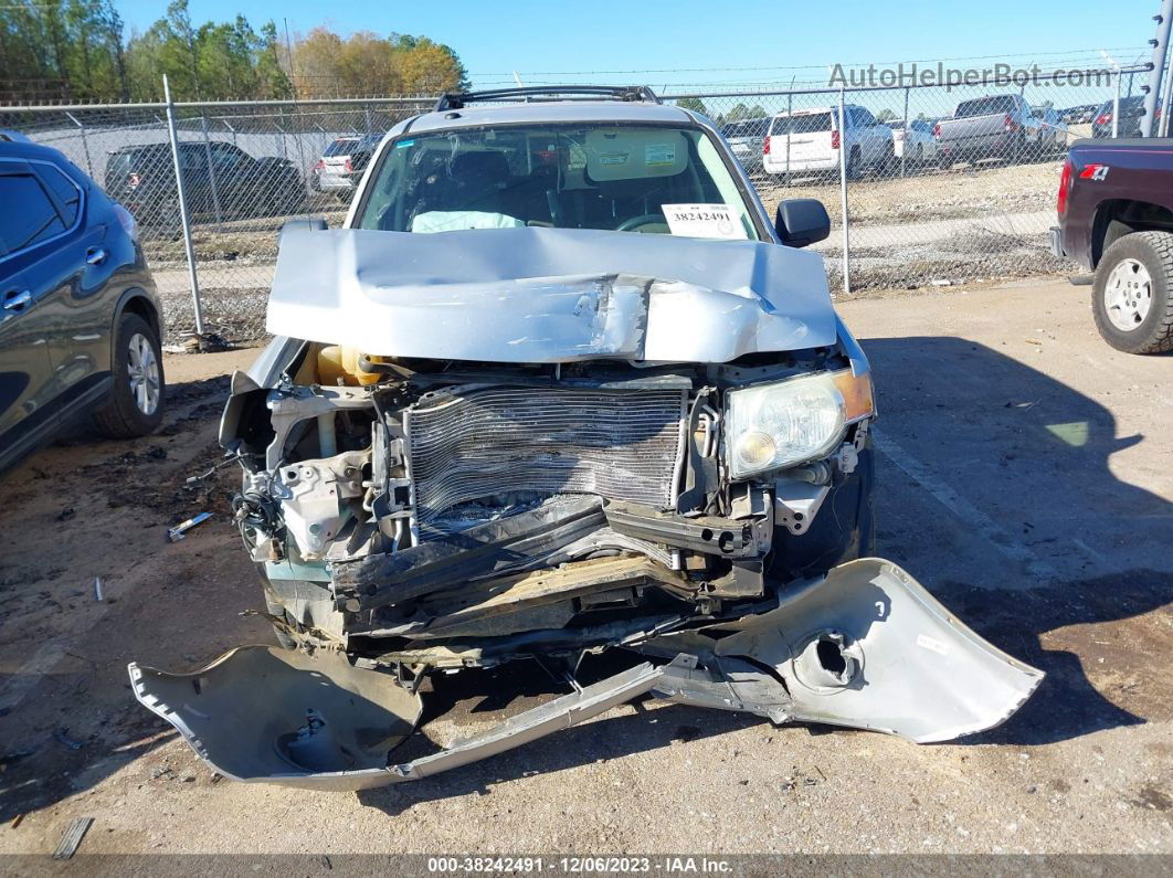 2009 Ford Escape Xlt Silver vin: 1FMCU93G39KB04221