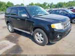 2009 Ford Escape Xlt Black vin: 1FMCU93G39KB54598