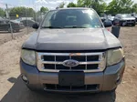 2009 Ford Escape Xlt Gray vin: 1FMCU93G39KB61552