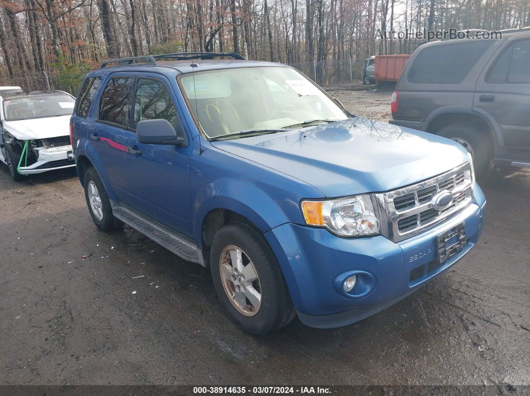 2009 Ford Escape Xlt Blue vin: 1FMCU93G39KB78528