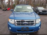 2009 Ford Escape Xlt Синий vin: 1FMCU93G39KB78528