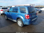 2009 Ford Escape Xlt Blue vin: 1FMCU93G39KB78528