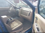 2009 Ford Escape Xlt Синий vin: 1FMCU93G39KB78528